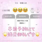 うた　体験入店 😭夢みたい 夢の国デリランド