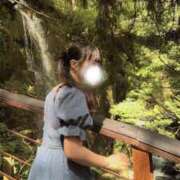 ヒメ日記 2026/09/29 04:04 投稿 はる しごくなエステ