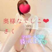 ヒメ日記 2026/09/20 14:15 投稿 さく 奥様なでしこ