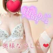 ヒメ日記 2026/09/20 15:04 投稿 さく 奥様なでしこ