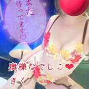 ヒメ日記 2026/10/13 22:47 投稿 さく 奥様なでしこ