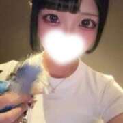 ヒメ日記 2026/09/16 20:56 投稿 かのん ジャパンクラブ富士