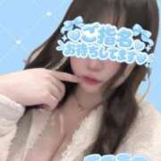 ヒメ日記 2026/10/23 16:48 投稿 にこ ベイビーモコ