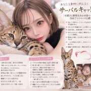 ヒメ日記 2026/09/27 16:14 投稿 キラ 川崎美女革命