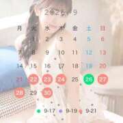 ヒメ日記 2026/09/19 12:15 投稿 ♪みく♪ 水色りぼん