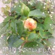 ヒメ日記 2026/09/25 14:28 投稿 倉田　みゆき 熟女パラダイス甲府店（カサブランカグループ）