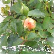 ヒメ日記 2026/09/26 09:24 投稿 倉田　みゆき 熟女パラダイス甲府店（カサブランカグループ）