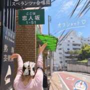 ヒメ日記 2026/09/22 09:35 投稿 ひなた 電車ごっこ