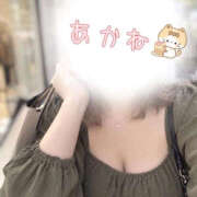 ヒメ日記 2026/10/14 11:16 投稿 茜音◇あかね 人妻吐息