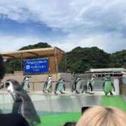 ヒメ日記 2026/09/17 16:39 投稿 まみ ぽっちゃりデリヘル倶楽部