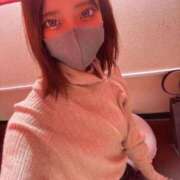 ヒメ日記 2026/10/08 12:00 投稿 かなた 船橋ときめき女学園