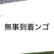 ヒメ日記 2026/09/25 11:02 投稿 しらなみ Hip's-group越谷本店