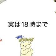 ヒメ日記 2026/10/08 13:12 投稿 しらなみ Hip's-group越谷本店