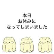 ヒメ日記 2026/10/18 10:12 投稿 しらなみ Hip's-group越谷本店