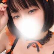 ヒメ日記 2026/09/30 11:22 投稿 こむぎ 八尾藤井寺羽曳野ちゃんこ