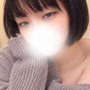 こむぎ こんばんは? 八尾藤井寺羽曳野ちゃんこ
