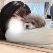 るる 猫耳のお兄さん♡ IRIS(岐阜)
