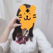 ヒメ日記 2026/09/24 08:32 投稿 とわ ビデオdeはんど 横浜校