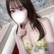 ヒメ日記 2026/09/26 12:35 投稿 きぬ SEXIS-セクシーズ-