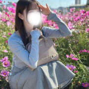 きぬ なんで“きぬ”なの？🦢🤍 SEXIS-セクシーズ-