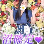 ヒメ日記 2026/10/16 10:12 投稿 平戸 ベニバナ