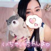 ヒメ日記 2026/10/20 12:40 投稿 平戸 ベニバナ
