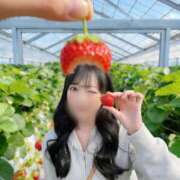 ヒメ日記 2026/09/21 12:12 投稿 さくら★女子アナ系×和風美女★ Bell～S級美女お姉様・人妻デリヘル～