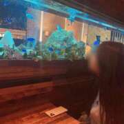 ヒメ日記 2026/09/27 23:28 投稿 松村 ANECOTE