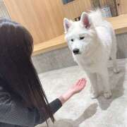 ハク はい、お手🐶 渋谷 ダイアナ