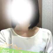 ヒメ日記 2026/09/23 11:12 投稿 新人ましろ 奥様メモリアル