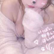 ヒメ日記 2026/10/28 11:02 投稿 なぎさ 千葉人妻花壇