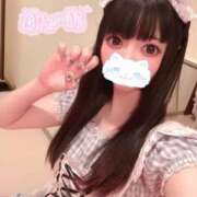 ぱるる 本日出勤🐈‍⬛💕 2980円（にゃんきゅっぱ）