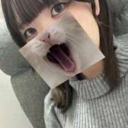 ヒメ日記 2026/10/11 19:20 投稿 あさぎ 渋谷さーくる