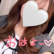ヒメ日記 2026/09/23 07:03 投稿 ましろ E+アイドルスクール 大阪・日本橋店