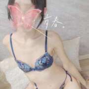 ヒメ日記 2026/09/29 15:16 投稿 堀江さな 華椿