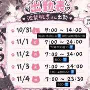 ヒメ日記 2026/09/26 07:32 投稿 たま 桃李（とうり）