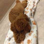 ヒメ日記 2026/09/23 01:15 投稿 みい コレクション