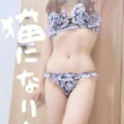 ヒメ日記 2026/10/07 19:35 投稿 御坂みこと（みさか みこと） 桃色奥様(佐賀)