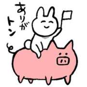 ヒメ日記 2026/10/09 13:06 投稿 橘美鈴 五十路マダム 浜松店(カサブランカグループ)