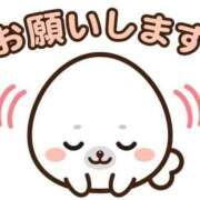 ヒメ日記 2026/10/02 11:19 投稿 みさき S級美女専門 ロイヤルリング錦糸町店
