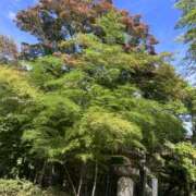 ヒメ日記 2026/10/22 20:58 投稿 ゆな アレグリア