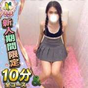 ヒメ日記 2026/09/26 01:36 投稿 ふたば サティアンまーと