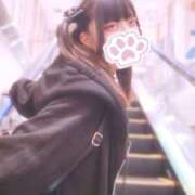 ヒメ日記 2026/09/21 20:12 投稿 ぽんちゃん 完全密室 無抵抗