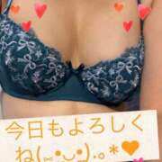 ヒメ日記 2026/10/04 09:35 投稿 なな clubさくら梅田店