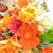 ヒメ日記 2026/10/11 19:32 投稿 吉澤桃 五十路マダム富山店(カサブランカグループ)