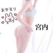 ヒメ日記 2026/10/07 21:56 投稿 宮内 ANECOTE