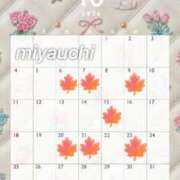 ヒメ日記 2026/10/09 12:39 投稿 宮内 ANECOTE