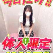 にいな 次回　3：30　案内可能 サティアンまーと