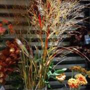 ヒメ日記 2026/10/11 11:36 投稿 くれは 熟女家 ミナミエリア店