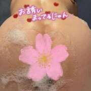 ヒメ日記 2026/10/05 23:23 投稿 夜桜 人妻最後の砦 小岩店